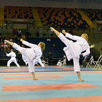 gankaku