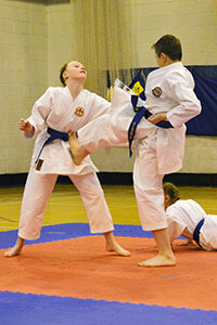 In-house comp 2