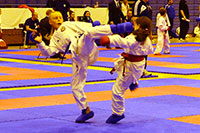 Scottish International 3