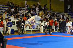 Kosovo world championships 2014 13