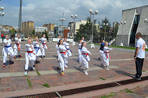 Kosovo world championships 2014 16