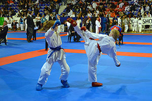 Kosovo world championships 2014 20
