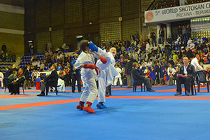 Kosovo world championships 2014 25